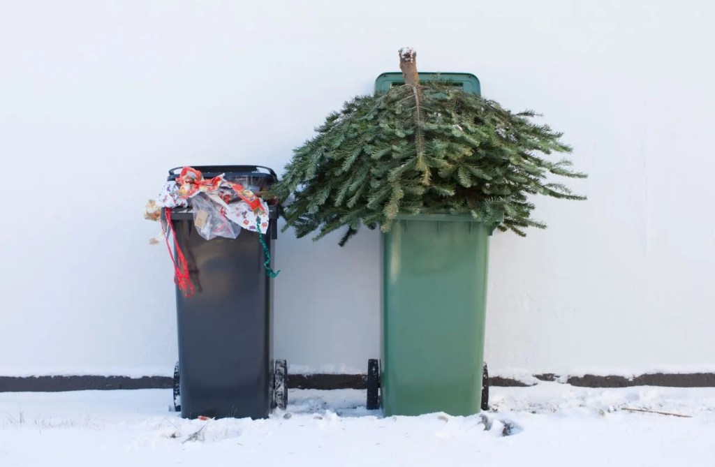 Menopause and Mortality